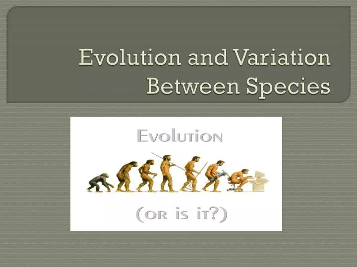 evolution and variation between species