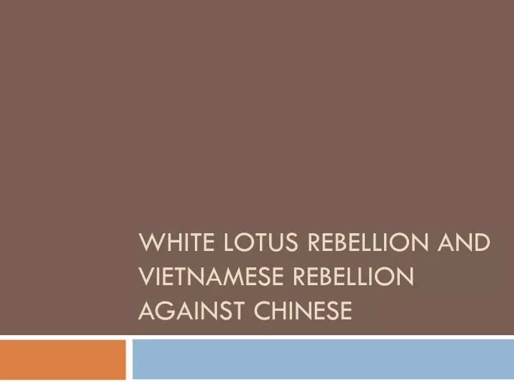 white lotus rebellion and vietnamese rebellion against chinese