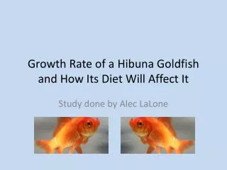 Growth Rate of a Hibuna Goldfish and How Its Diet Will Affect It
