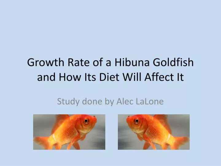 growth rate of a hibuna goldfish and how its diet will affect it