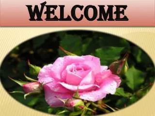 Welcome