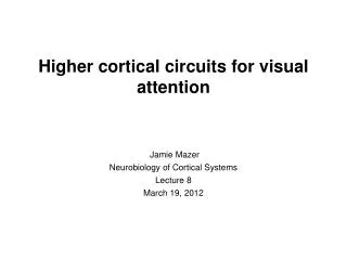Higher cortical circuits for visual attention