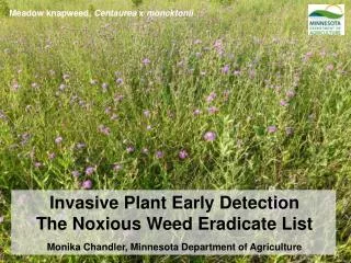 Invasive Plant Early Detection The Noxious Weed Eradicate List