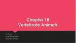 Chapter 18 Vertebrate Animals - slide 1