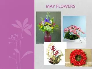 May Flowers