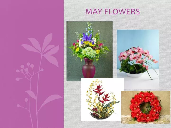may flowers