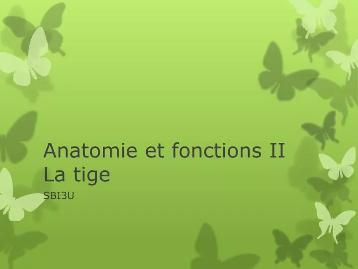 anatomie et fonctions ii la tige