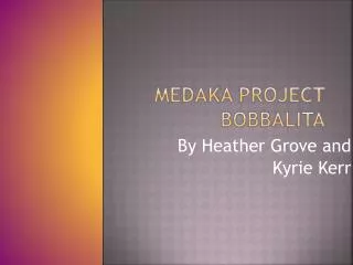 Medaka Project Bobbalita