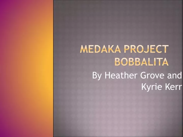 medaka project bobbalita