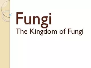 Fungi