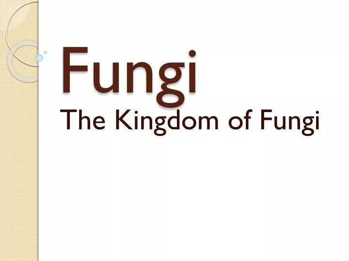 fungi