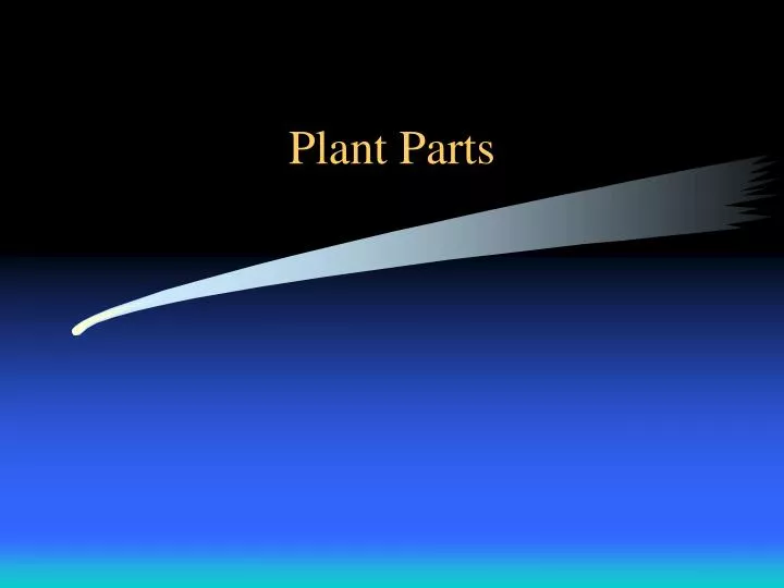 plant parts