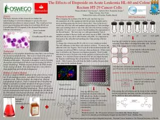 The Effects of Etoposide on Acute Leukemia HL-60 and Colon/ Rectum HT-29 Cancer Cells