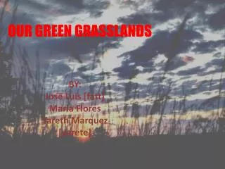 OUR GREEN GRASSLANDS