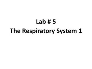 Lab # 5