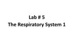 Lab # 5 - slide 1