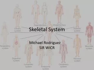 Skeletal System