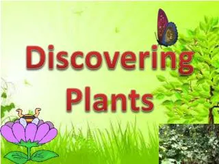 Discovering Plants