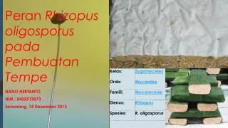 Peran Rhizopus oligosporus pada Pembuatan Tempe