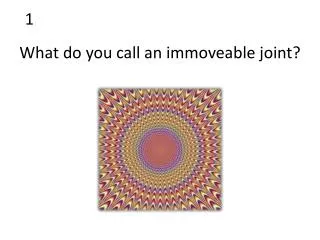 What do you call an immoveable joint?