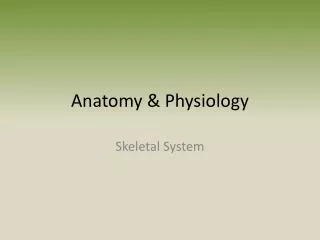anatomy physiology