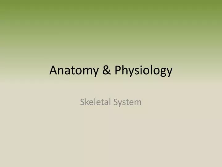 anatomy physiology