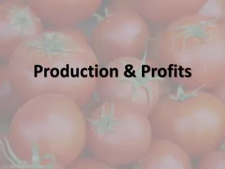 Production &amp; Profits