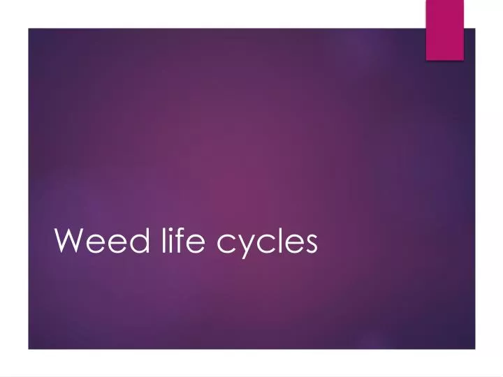 weed life cycles