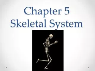 Chapter 5 Skeletal System