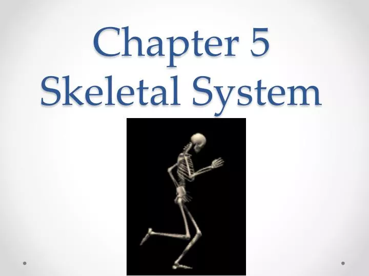 chapter 5 skeletal system