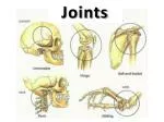 Joints - slide 1