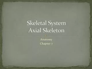 Skeletal System Axial Skeleton