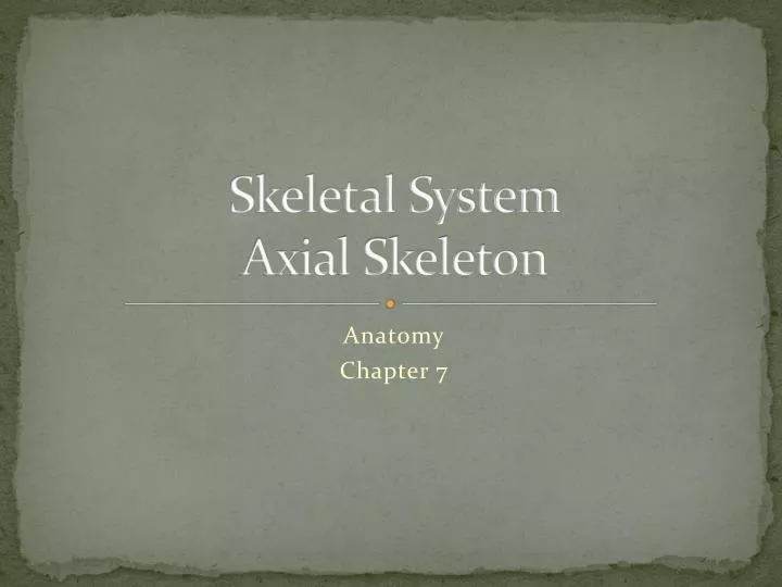 skeletal system axial skeleton