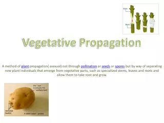 Vegetative Propagation