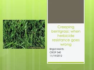 Creeping b entgrass: when herbicide resistance goes wrong