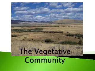 The Vegetative Community