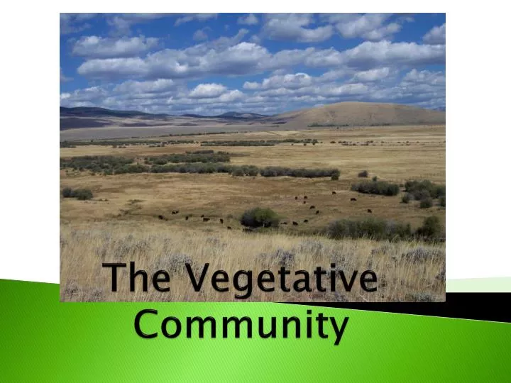 the vegetative community