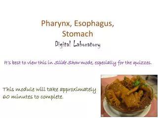 Pharynx, Esophagus, Stomach Digital Laboratory