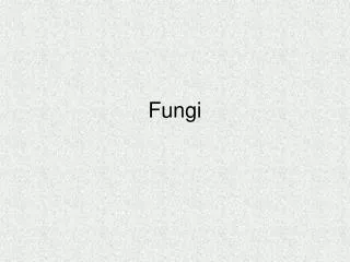 Fungi