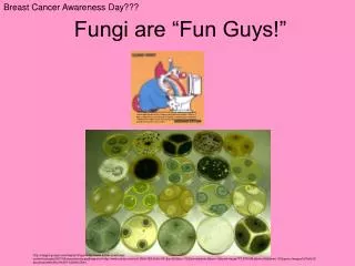 Fungi are “Fun Guys!”