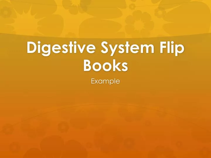 digestive system flip books