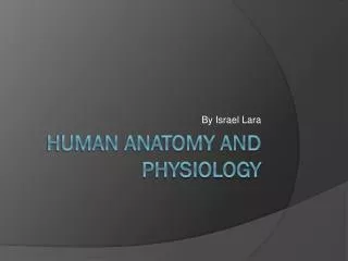 Human Anatomy and Physiology