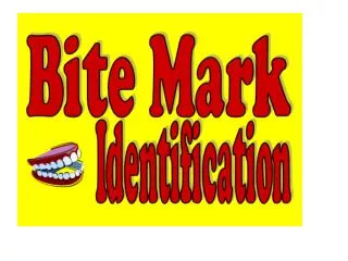 Forensic dentists use several different terms to describe the type of bite mark: