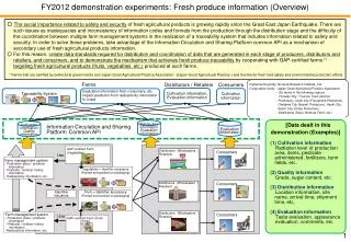 Implementing body: Nomura Research Institute, Ltd.