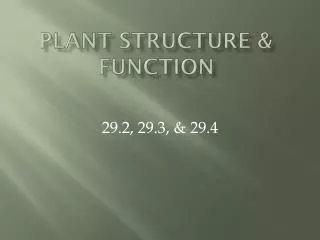 Plant Structure &amp; Function