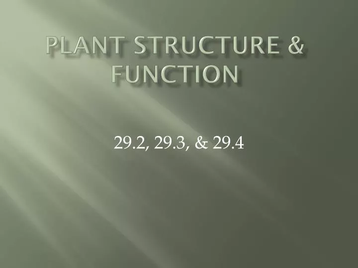 plant structure function