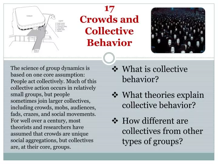 17 crowds and collective behavior
