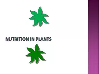 Nutrition in plants