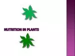 Nutrition in plants