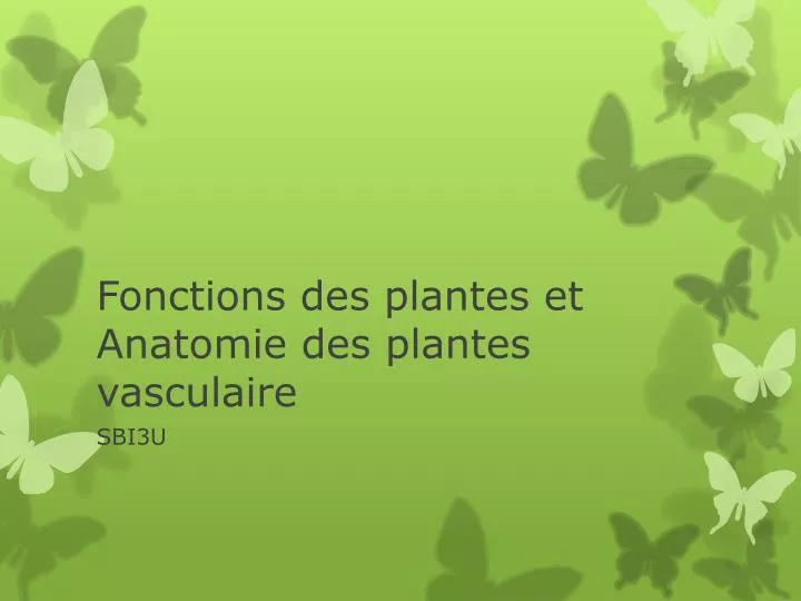 f onctions des plantes et anatomie des plantes vasculaire